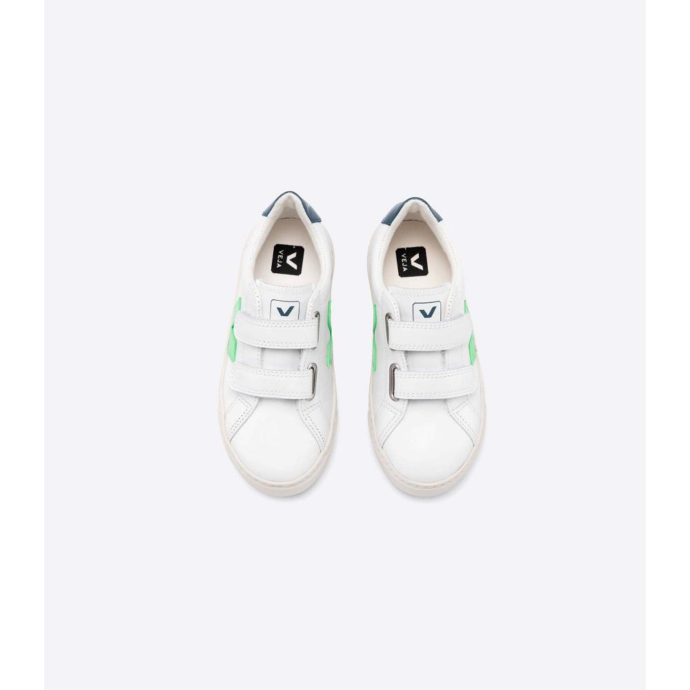 Kids' Veja ESPLAR LEATHER Sneakers White/Green | ZA 816EBC